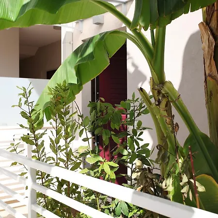 בית נופש Casa Relax צ'יביטאנובה מארקה