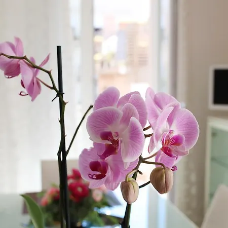 Casa Relax تْشيفيتانوفا ماركي